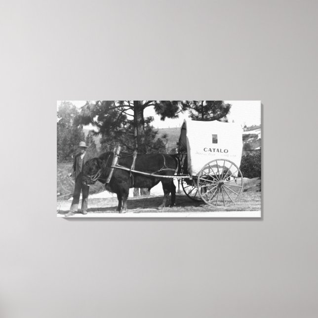 Catalo Grandview Ranch Cow Cart Canvas Print (Front)