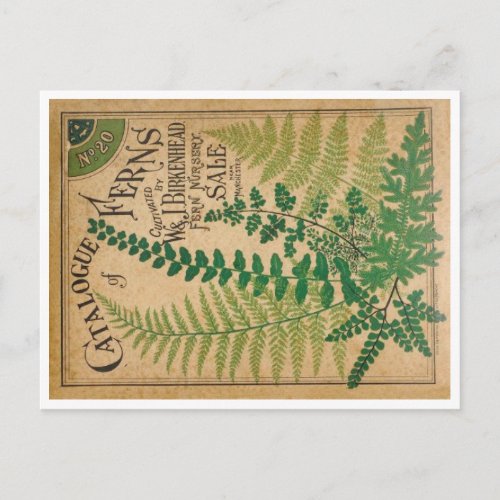 Catalogue of Ferns Postcard