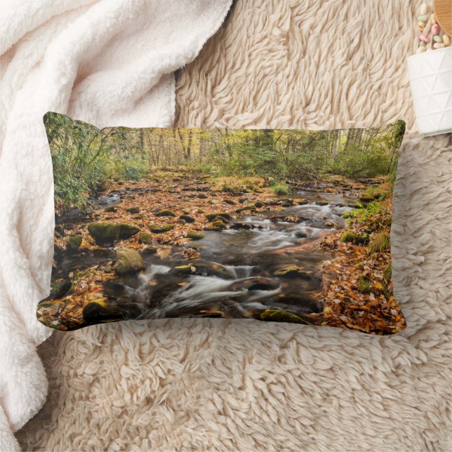 Cataloochee Creek NC Great Smoky Mountains Lumbar Pillow (Blanket)