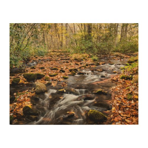 Cataloochee Creek NC Great Smoky Mountains Wood Wall Art