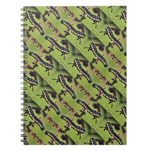 Catalpa Worms Camo Catfish Fishing Notebook