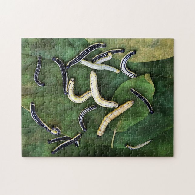Catalpa Worms Catfish Bait Photographic Art Jigsaw Puzzle (Horizontal)