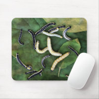 Catfish, Mouse Pad Mouse Pad