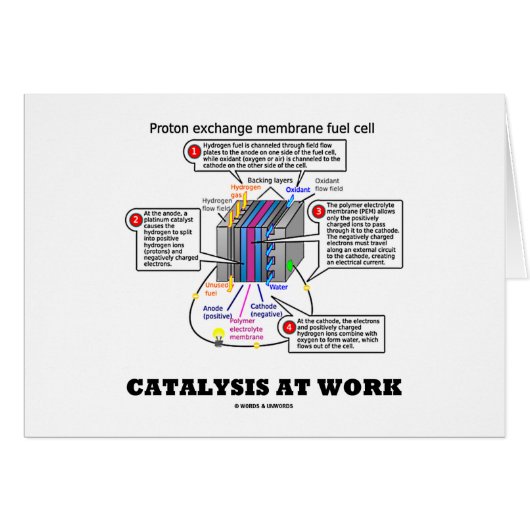 Catalysis At Work (Proton Exchange Membrane Fuel) Cards (Front Horizontal)