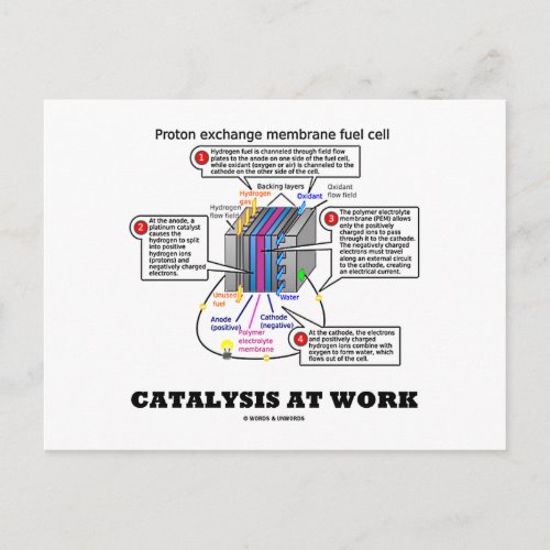 Catalysis At Work Proton Exchange Membrane Fuel Postcard