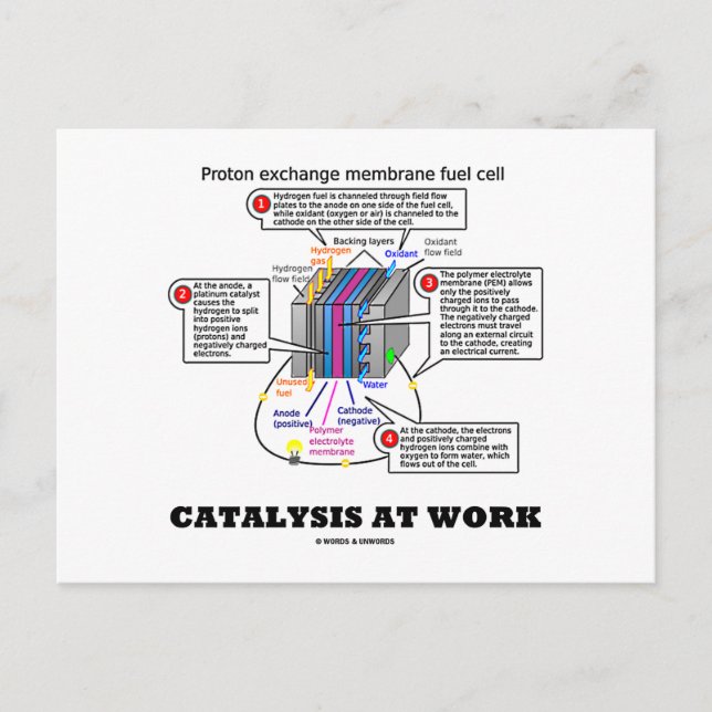 Catalysis At Work (Proton Exchange Membrane Fuel) Postcard (Front)