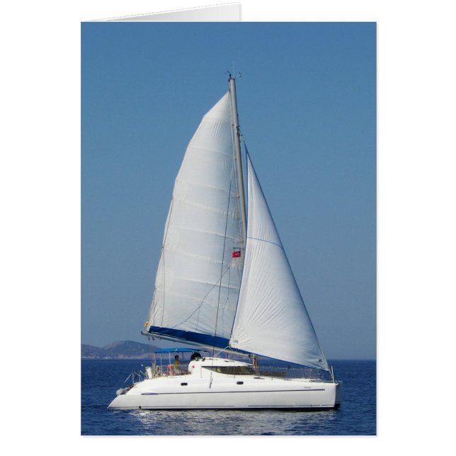Catamaran Catchup (Front)