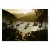 Catamarans and sailboats (Front Horizontal)