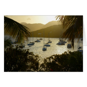 Catamarans and sailboats