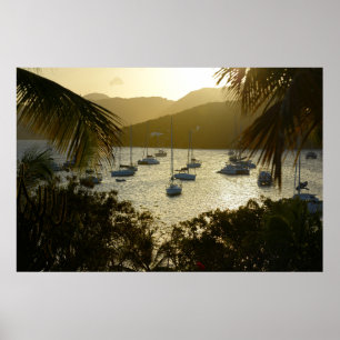 Catamarans and sailboats poster