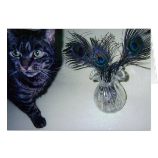 catandpeacockfeathers 001 cards (Front Horizontal)