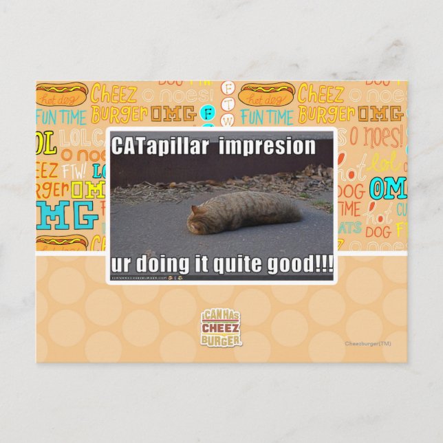 CATapillar Postcard (Front)
