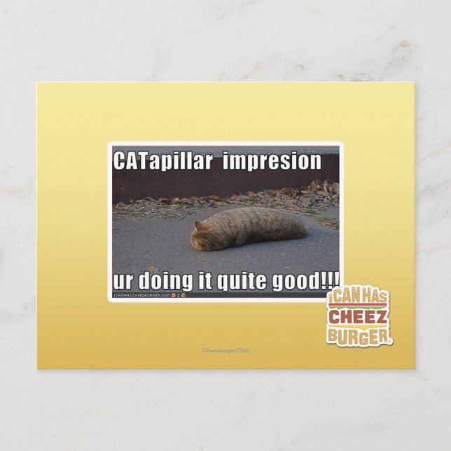 CATapillar Postcard (Front)