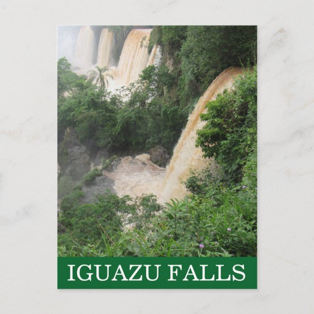 cataratas iguazu jungle postcard (Front)