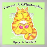 Catastrophe Poster at Zazzle