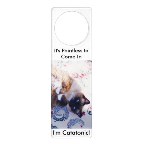 Catatonic Cat Door Hanger