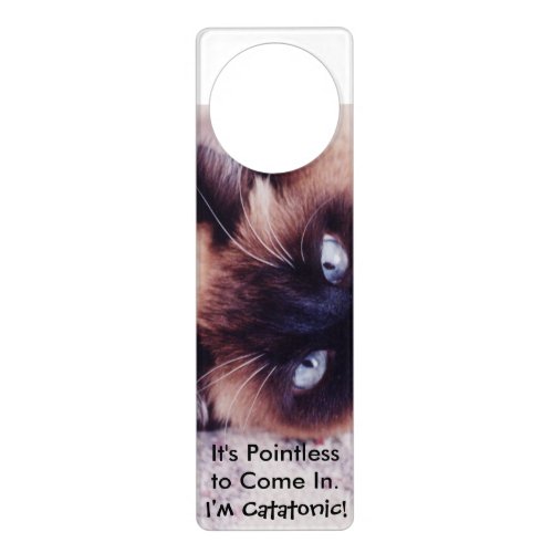 Catatonic Cat Door Hanger