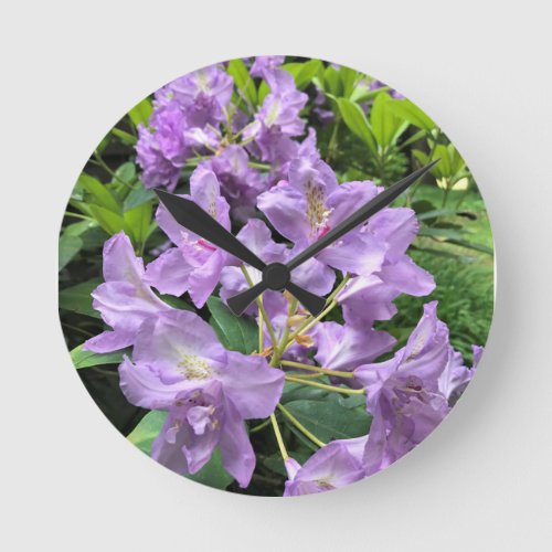 Catawbiense Boursault Rhododendrons Oregon Round Clock