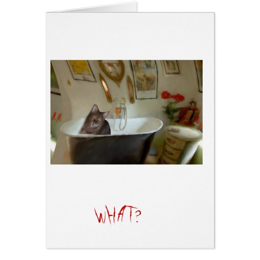 CATBATH CARDS (Front)