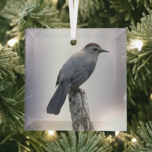 Catbird Beveled Glass Ornament