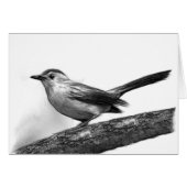 Catbird Cards (Front Horizontal)