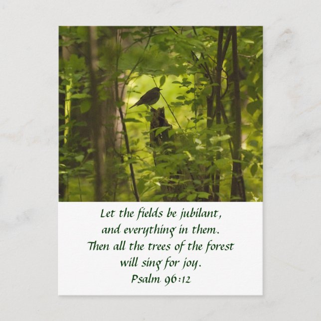 Catbird in the Forest Green Postcard (Front)