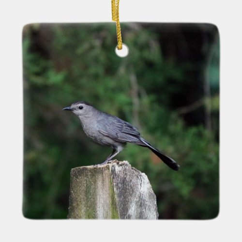 Catbird Ornament