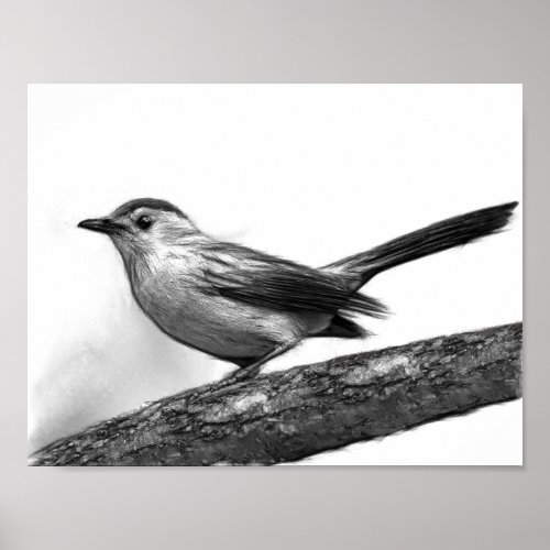 Catbird Poster