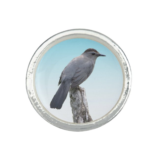 Catbird Ring (Front)