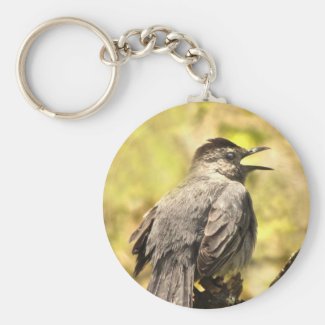 Catbird Singing His Song Keychain