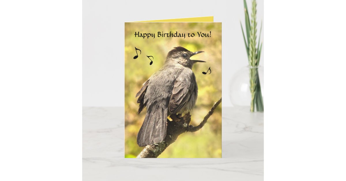 Catbird Sings Happy Birthday Card Zazzle