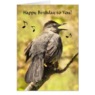 Catbird Sings Happy Birthday Card