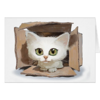 Catbox Cards
