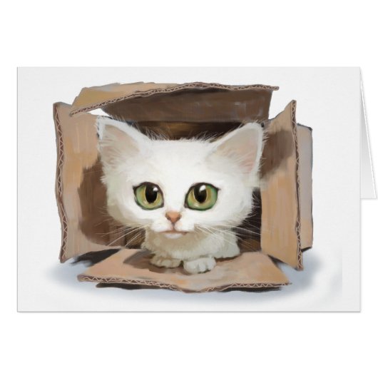 Catbox Cards (Front Horizontal)