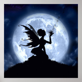 Catch a Falling Star Poster