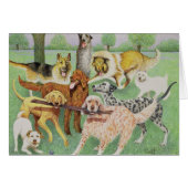 Catch and Carry (Front Horizontal)