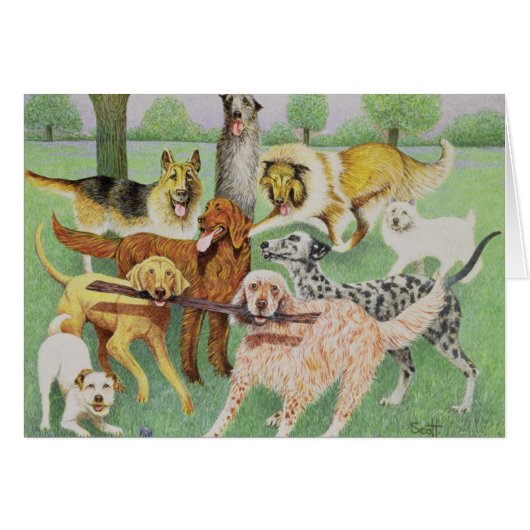 Catch and Carry Cards (Front Horizontal)