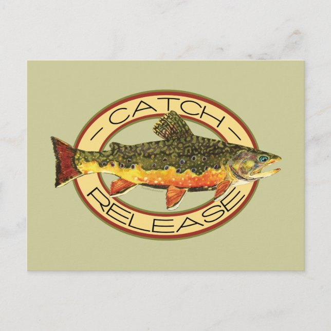 Catch and Release Fishing Postcard (Front)