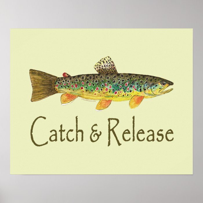Catch and Release Fishing Posters