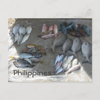 Catch of the day postcard