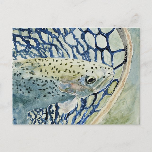 Catch & Release Fishing Designs Postcard (Front)