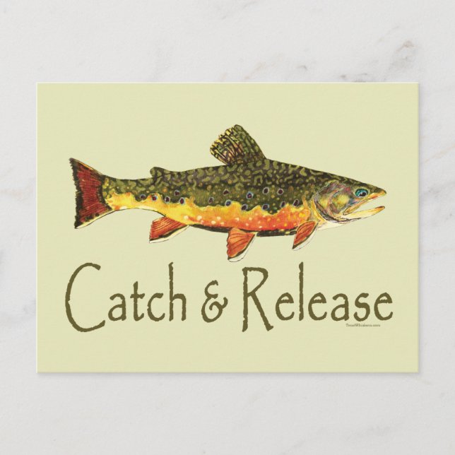 Catch & Release Trout Fishing Postcard (Front)