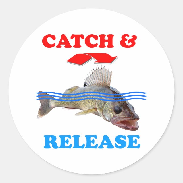 Catch & Release Walleye fishing Classic Round Sticker (Front)