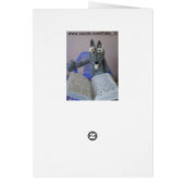 Catch Some Air (Back)