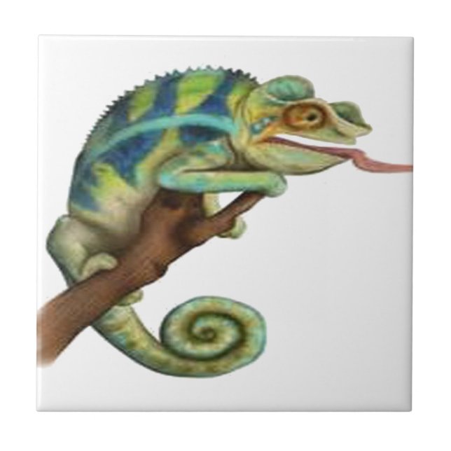 CATCH THE EYE CERAMIC TILE (Front)