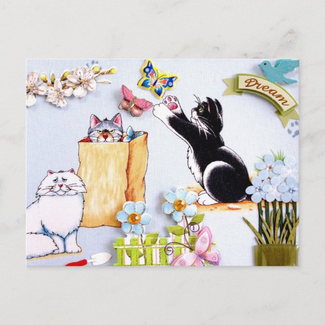 Catch Your Dream Postcard (Front)