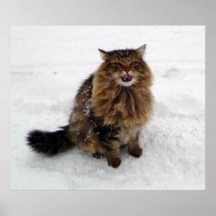 Catching a snowflake poster