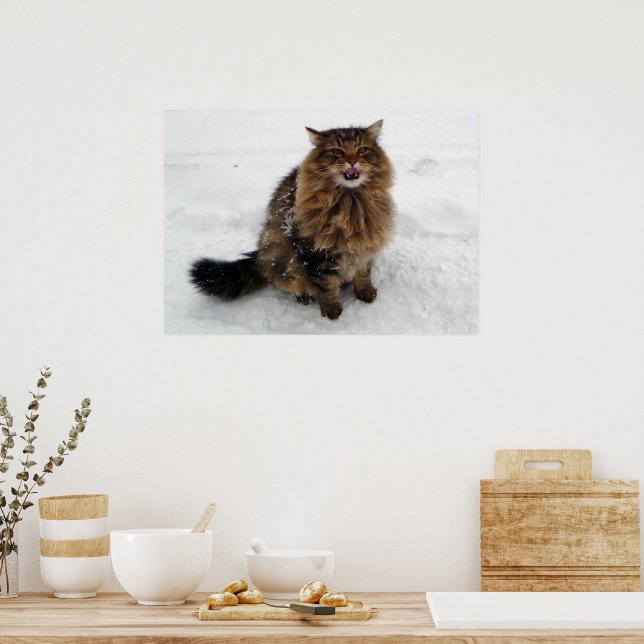 Catching a snowflake poster (Kitchen)