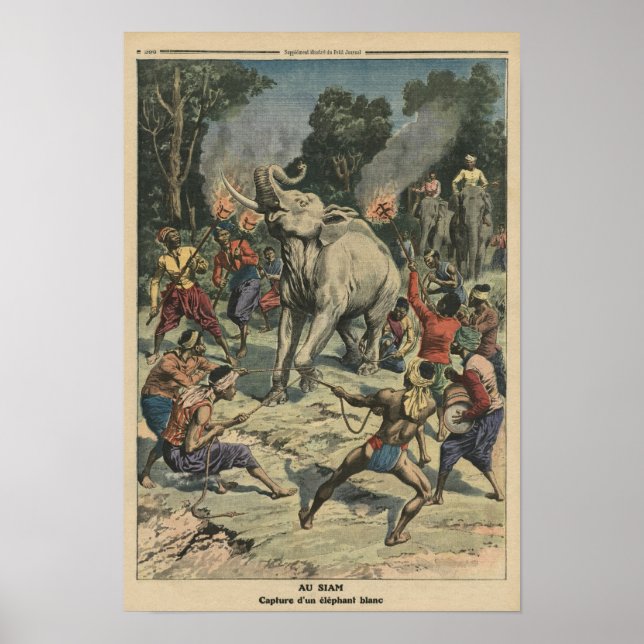Catching a white elephant in Siam Poster (Front)