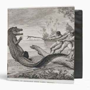 Catching an alligator with lasso binder